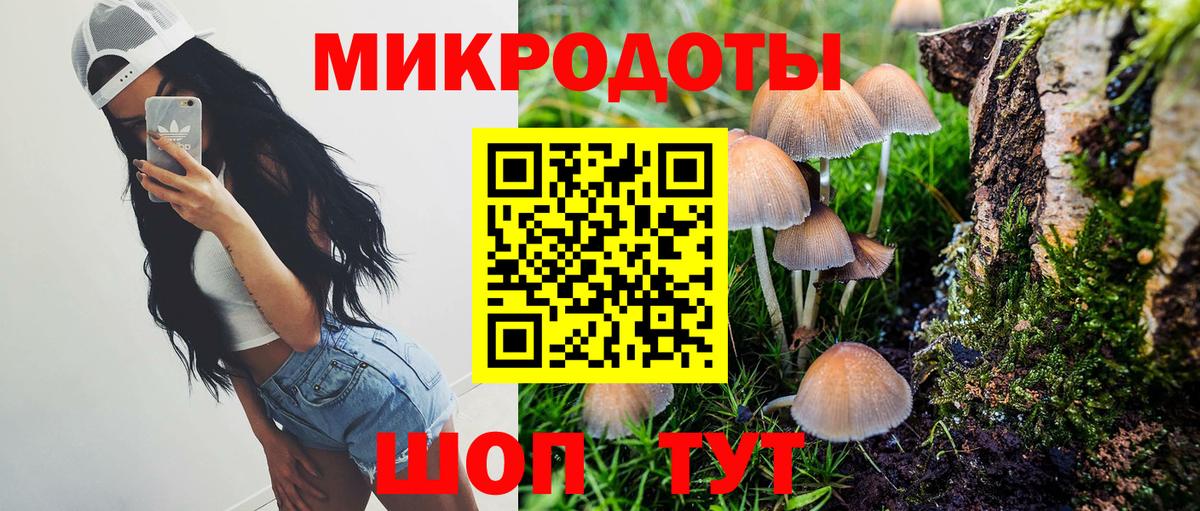 Гай  Галлюциногенные грибы прущие грибы  Вход с VPN 