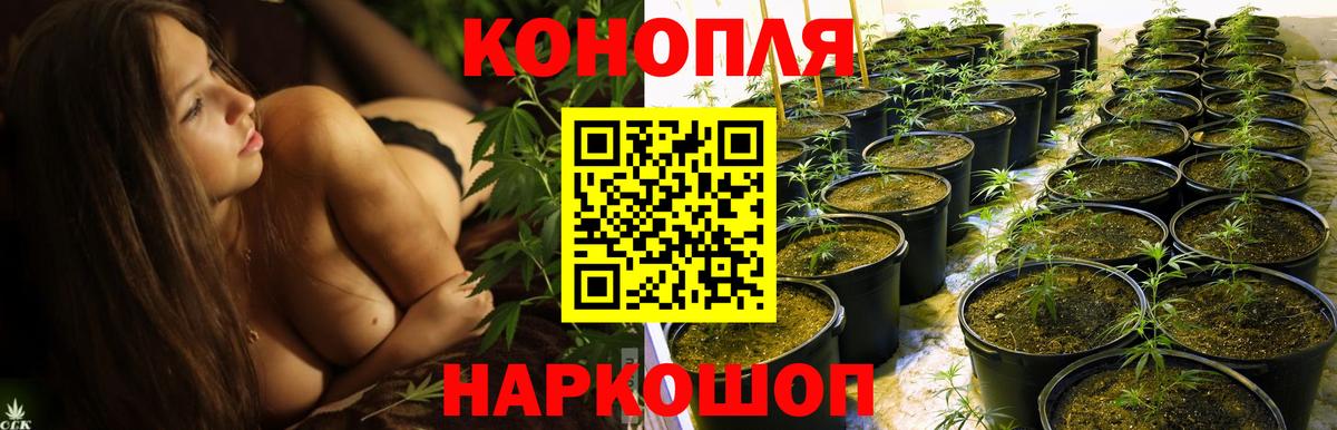 Шишки марихуана THC 21% Гай